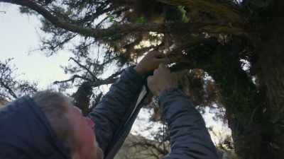 Get the hammocks up,
get protected for the night. - Edge of the Earth