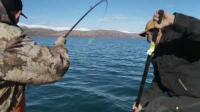 Get the head in there,
turn him sideways.JUST, - Life Below Zero: First Alaskans