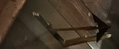 Get the scorpions......out of here! - Jack the Giant Slayer