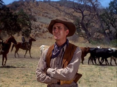 Get the stamp on 'em,
Billy. - The Virginian