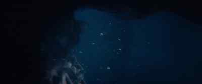 Get to the wall, get to the wall. - Poltergeist