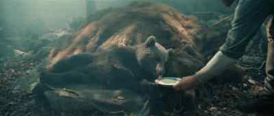 Get up. It's time. - The Bear