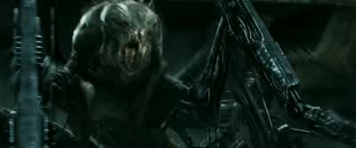 Get up, look out! - The Maze Runner