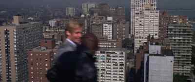 Get up on the railing, Frank! - Fearless Frank
