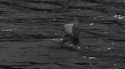 Get up!
Pack your clothes and get out! - The Creature Walks Among Us
