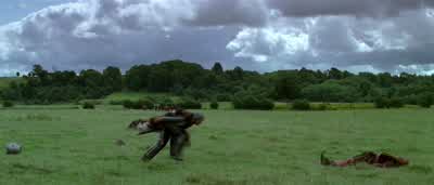 Get up! - Braveheart