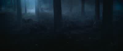 Get us in the air. - Harry Potter and the Chamber of Secrets