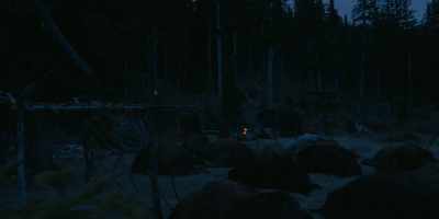 - Getting damn sick
of buffalo meat. - Butcher's Crossing