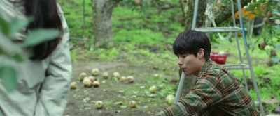 Getting hit hard like this is upsetting, - Little Forest