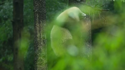 'Getting to this moment - A Year on Planet Earth