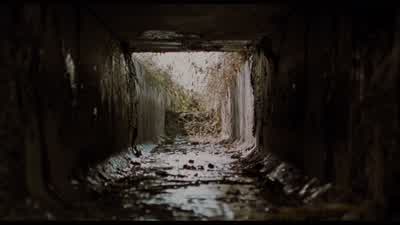 그 안에 뭐 있어요? - Memories of Murder