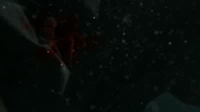 그래도 괜찮아 - All of Us Are Dead