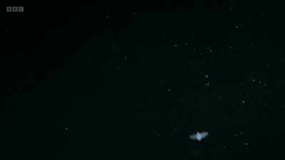 Ghostly shapes appear
over a starlit river. - Wild Isles