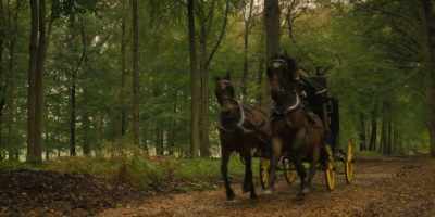 Giddyap, boys. Yep. Yep. [exclaims] - The Completely Made-Up Adventures of Dick Turpin