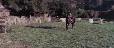 Giddyup, there! - The Reivers