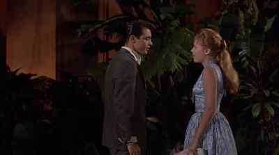 Gidge? - Gidget Goes Hawaiian
