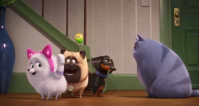 Gidget, you look so much
like a cat, it's crazy. - The Secret Life of Pets 2
