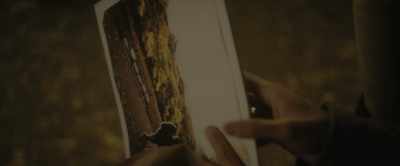 [GIFT WRAP TEARING] - A New York Story