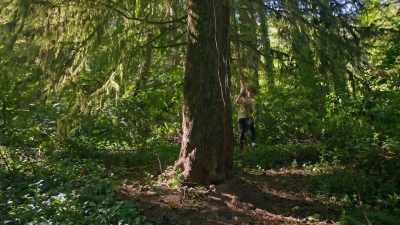- (Gil giggles)
- (leaves rustle) - Trees and Other Entanglements
