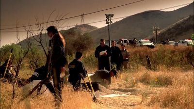 Gil Grissom? - CSI: Crime Scene Investigation