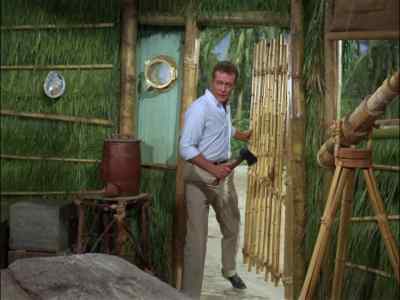 GILLIGAN,
I BROUGHT YOU - Gilligan's Island