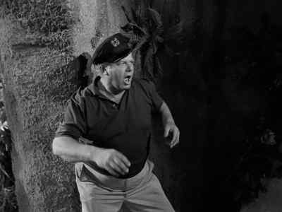 Gilligan? Mr. Howell?
What are you arguing about? - Gilligan's Island