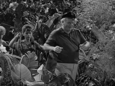 Gilligan! - Gilligan's Island