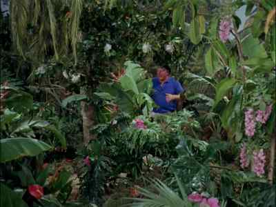 GILLIGAN! - Gilligan's Island
