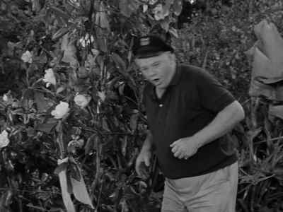 Ginger's scarf. - Gilligan's Island