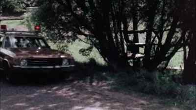 - Ginny, you've been a widow
now for over six years. - Bog