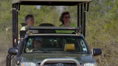 "Giraffe are being sold
at about 2500 rand. - The Woman Who Loves Giraffes