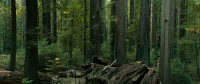 Girls must be so niceif they let guys do all those things to them - Swiss Army Man