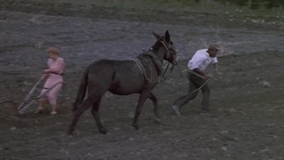 Git on Git on boy - Places in the Heart
