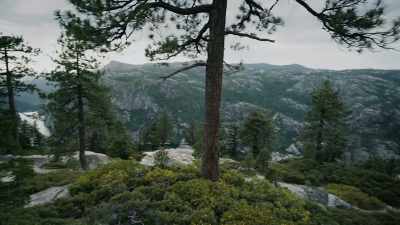 GIUSEPPE: It's easy to say
these people slipped on a rock - Missing 411: The Hunted