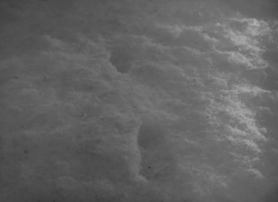 Give me a light that I may tread safely into the unknown - The Mortal Storm