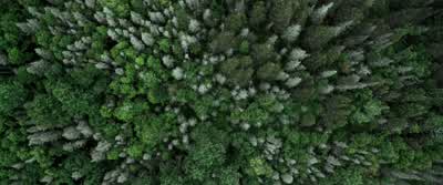Give her up! - Chaos Walking