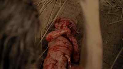 Give me, little darling. - Masters of Horror