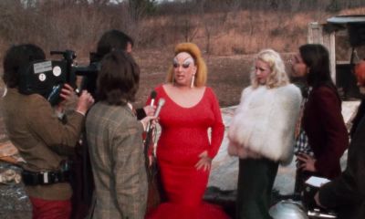 Give me more questions - Pink Flamingos