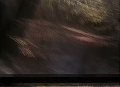 Give me the compassYou've betrayed us all beyond Way fucking beyondBullshit man Give me the compassYou betrayed us when you couldn't get us out of the woods last nightYeah thanks - The Blair Witch Project