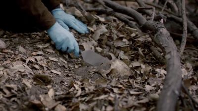 Give me the trowel. - Bosch