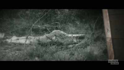 -Given the fact that
she was found deceased in 1974, - Lady of the Dunes: Hunting the Cape Cod Killer