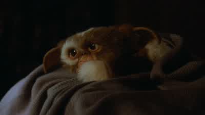 Uh-oh. Mom? Yeah? Mom, could you come up here, please? - Gremlins
