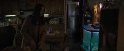 [glass breaking] - Intrusion