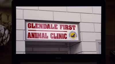 Glendale First Animal Clinic - Hometown Hero