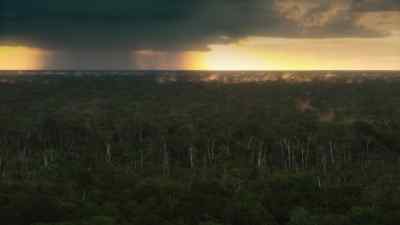 Global temperatures are high. - Prehistoric Planet