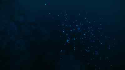 Glowing ammonites rise from the abyss. - Prehistoric Planet