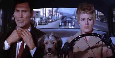 Go to 6th Street and turn left. - I Died a Thousand Times
