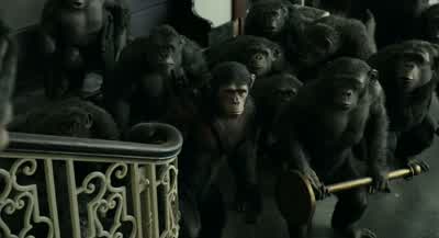 Go ahead Ash......make humans pay. - Dawn of the Planet of the Apes