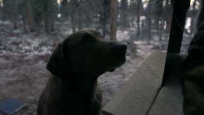 Go ahead, Java.
Get it. There she goes. - Life Below Zero: Next Generation