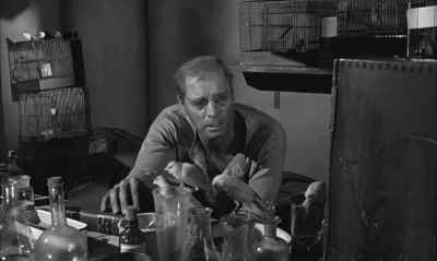 Go ahead, open it. - Birdman of Alcatraz